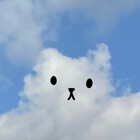 Cloudkitten23