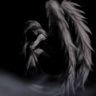 decemberswan