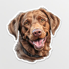 retriever-dogs