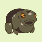 Aykudon