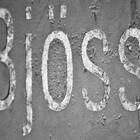 bjoss