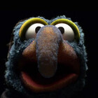 GlitterChicken