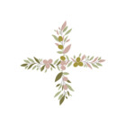 OliveTree10