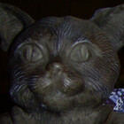 BuddhaKat