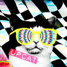 F1upcat
