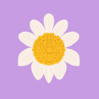 melilovstay