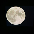 7-moons
