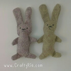 CraftyRie