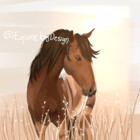 EquineDesign