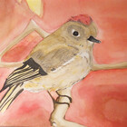 TwiddleBird