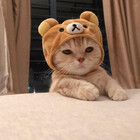 Kendrawong77