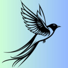 birdspotter1