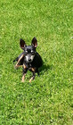 nikki-malt-was