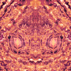 symbieo