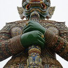 zeldashaffer