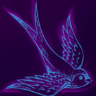 MidniteSparrow