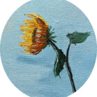 PMurphyArts