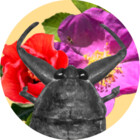 WaterbugDesign