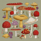 muushies