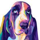 colorpooch