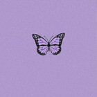 Aye-sthetic