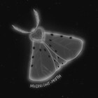 Midnight-Moth-