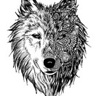 WolvesDesign