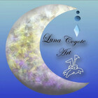 LunaCoyoteArt