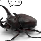 Tantanlaign