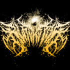 BlackStarShop77