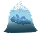 bag0fish