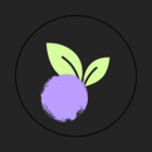 berry-therapy