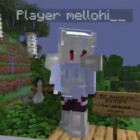 MellohiDiscs