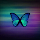 E-butterfly-Art