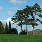 Champsoleil