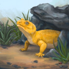 Marpo