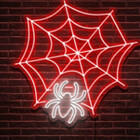 SpidersWebArt