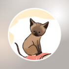catBeniamin