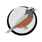 EpochBirding