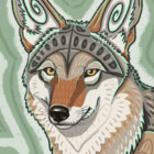 Corvus-latrans