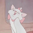 sskkyyxoxo