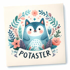 Potaster