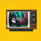 themediamagpie