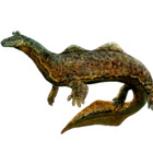 Critterzoology