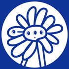 namenew