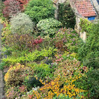 Kiftsgategarden