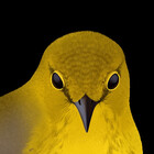 cmopaleoart