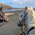 ALfromIslandBay