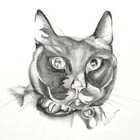 Lachatnoir