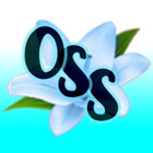 oneshoeshort